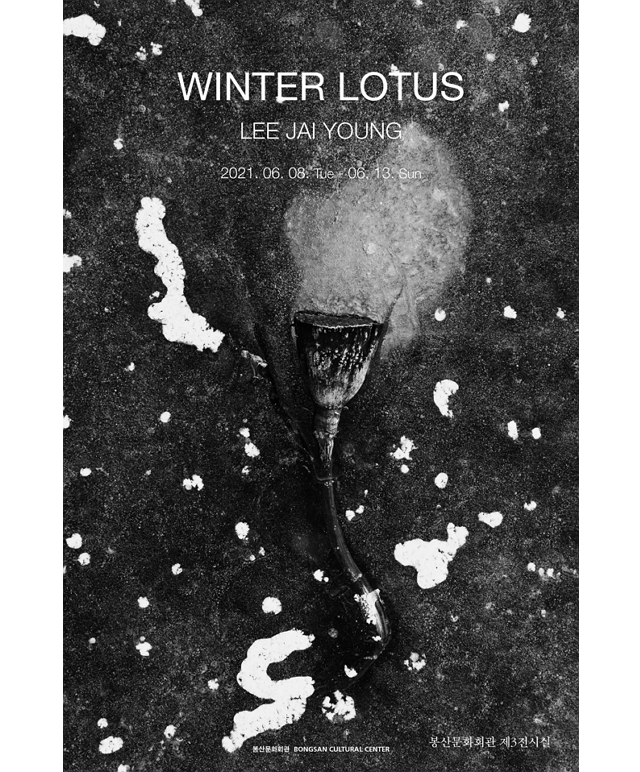 이재영 사진전 winter lotus 포스터